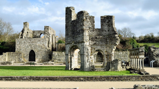 Mellifont Abbey