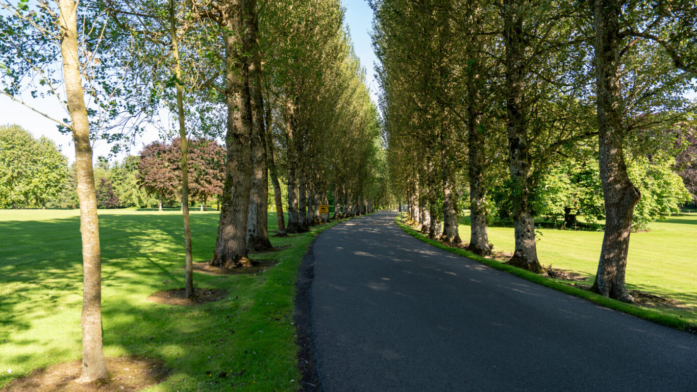 Avenue (2)