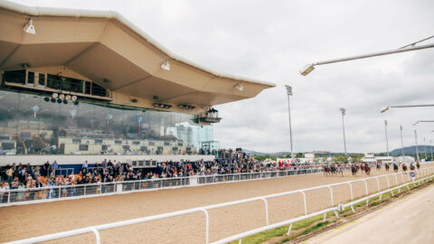 horses_run_in_front_of_stadium_(2)[1]