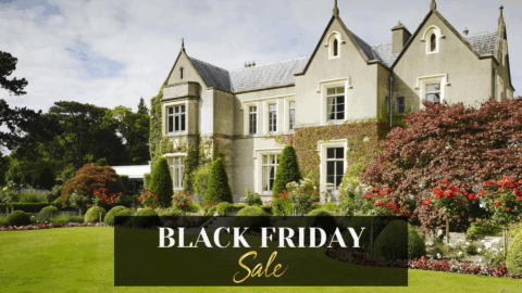 BLACK FRIDAY hero image (1)